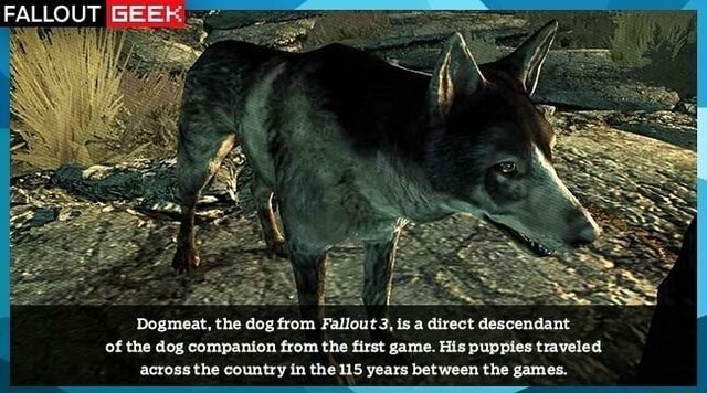 Fallout I Dogmeat The Dog From Fallout 3 Is A Direct Descendant Of The Dog Companion From The First Game His Puppies Traveled Across The Country In The 115 Years Between The
