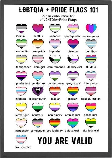 LGBTQIA + PRIDE FLAGS 101 A non-exhaustive list of Flags. DI pangender ...