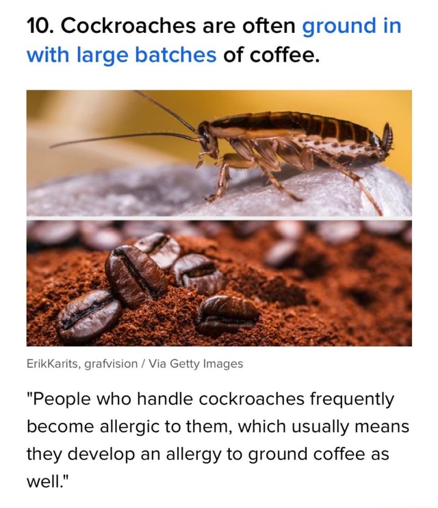 10. Cockroaches are often ground in with large batches of coffee