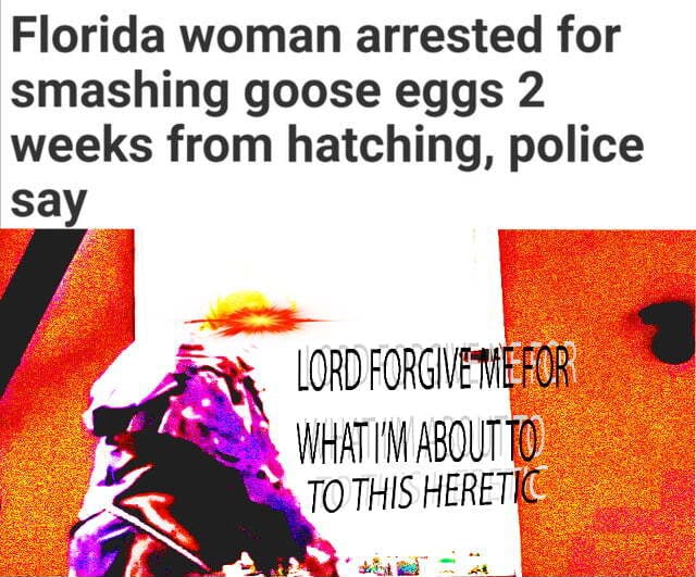 Florida woman arrested for smashing goose eggs 2 weeks from hatching, police sa LORD WHAT