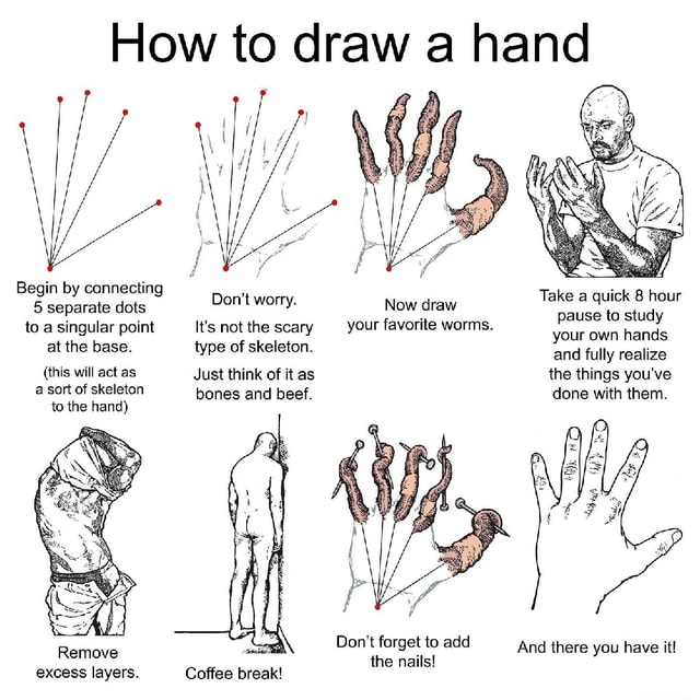 How to draw a hand Take a quick 8 hour Begin by connecting 5 separate ...