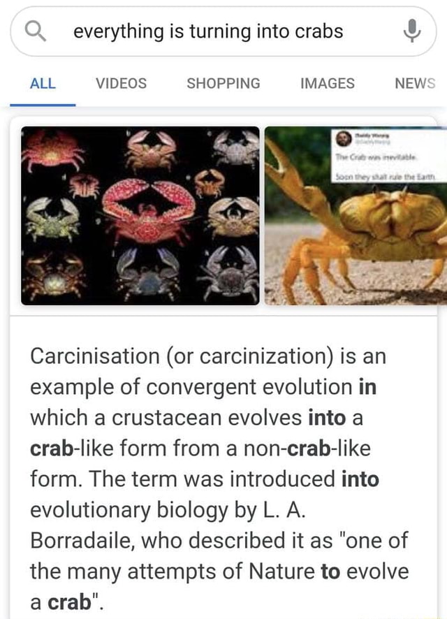 Everything Is Turning Into Crabs All Videos Shopping Images New Carcinisation Or Carcinization 