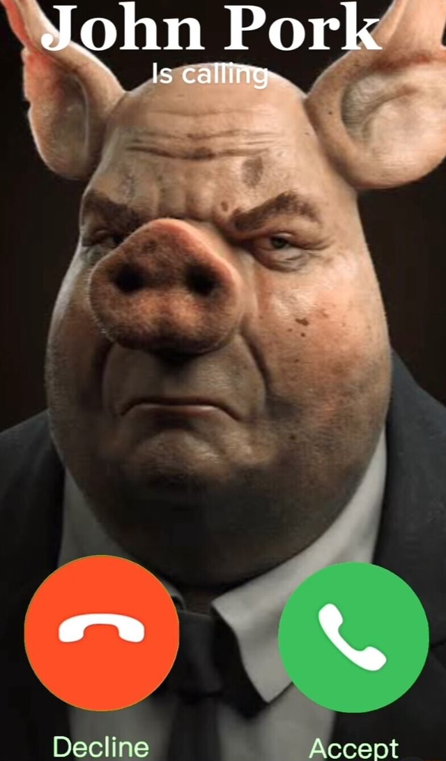 John Pork Is call Accept iFunny Brazil