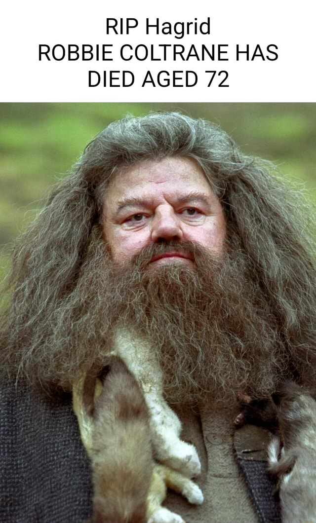 RIP Hagrid ROBBIE COLTRANE HAS DIED AGED 72 Foe - IFunny