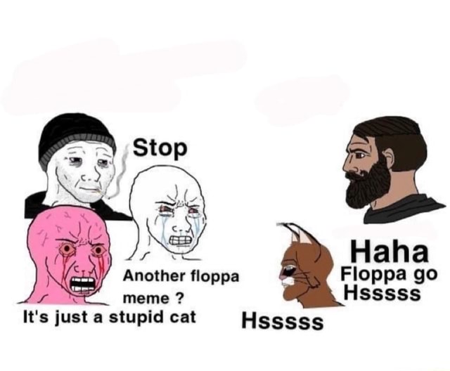Go follow @floppa_doppa if you haven't already. The Floppa memes
