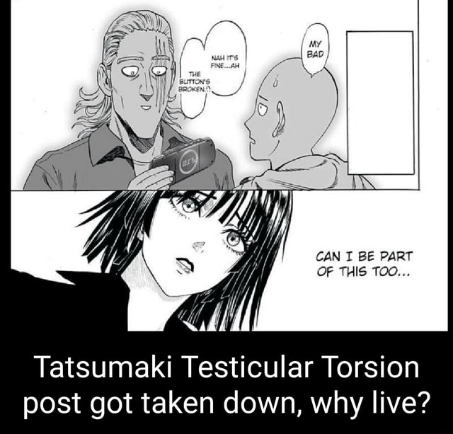 CAN I BE PART OF THIS TOO... Tatsumaki Testicular Torsion post got taken down, why live? iFunny