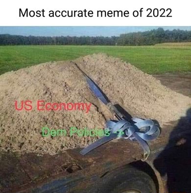 Most Precise Meme Most accurate meme of 2022 - iFunny