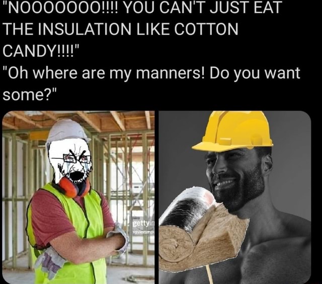 "NOOOOOOO!!!! YOU CAN'T JUST EAT THE INSULATION LIKE COTTON "Oh where