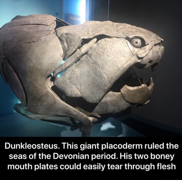 Dunkleosteus. This Giant Placoderm Ruled The Seas Of The Devonian 