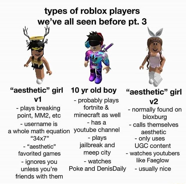 Types Of Roblox Players We Ve All Seen Before Pt 3 Aesthetic Girl 10 Yroldboy Gesthetic Girl Probably Plays Plays Breaking Fortnite Normally Found On Point Etc Minecraft As Well - denis daily roblox meep city