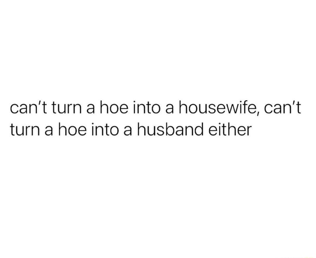 Can't turn a hoe into a housewife, can't turn a hoe into a husband