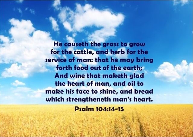 He causeth the grass to grow for the cattle, and herb for the service