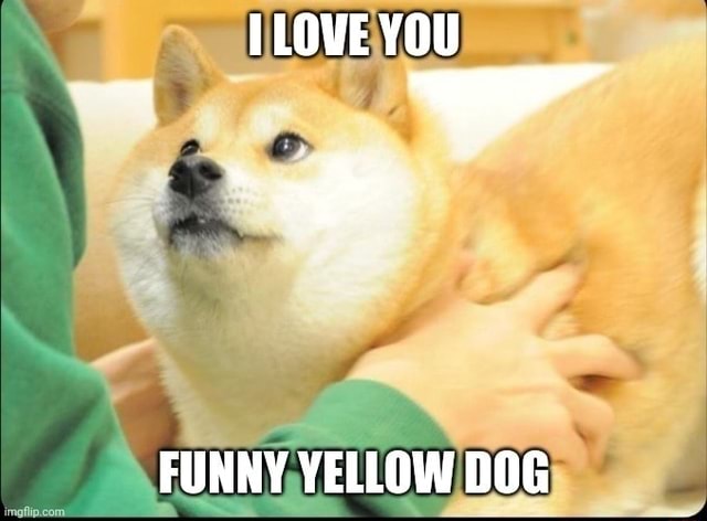 LOVE YOU FUNNY YELLOW DOG - )