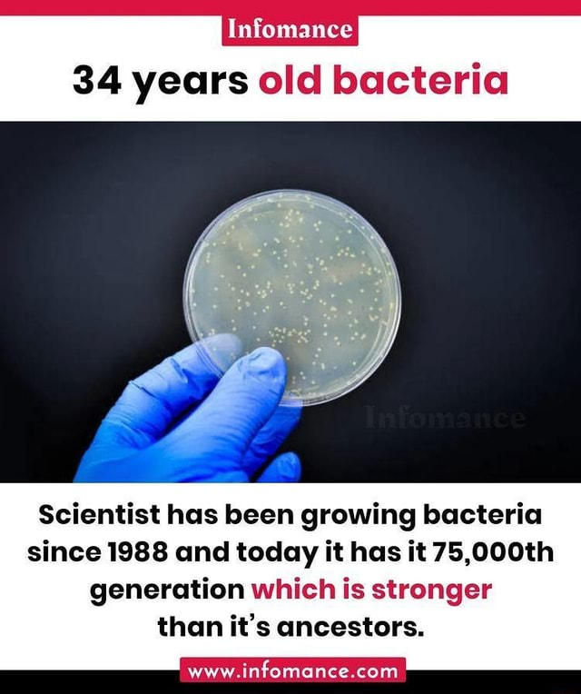 Infomance 34 years old bacteria Scientist has been growing bacteria