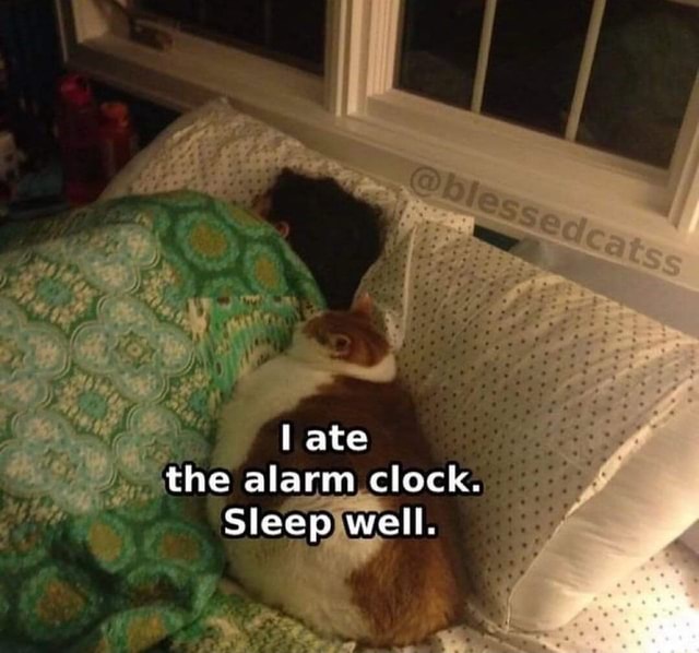 I ate the alarm clock. Sleep well. iFunny