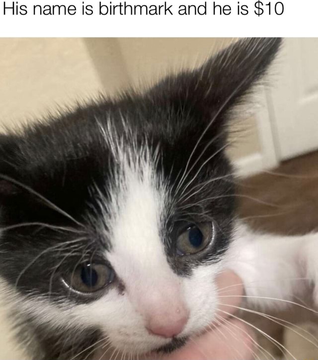 His name is birthmark and he is $10 - iFunny