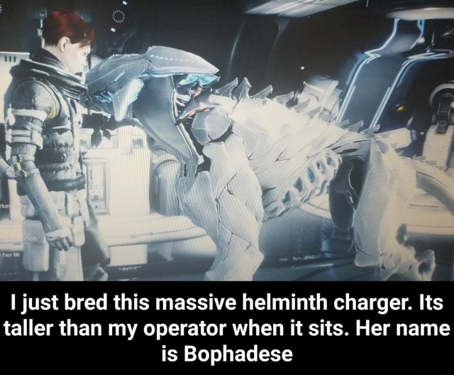 A & :? , Ijust bred this massive helminth charger. Its taller than my  operator when it sits. Her name is Bophadese - I just bred this massive helminth  charger. Its taller