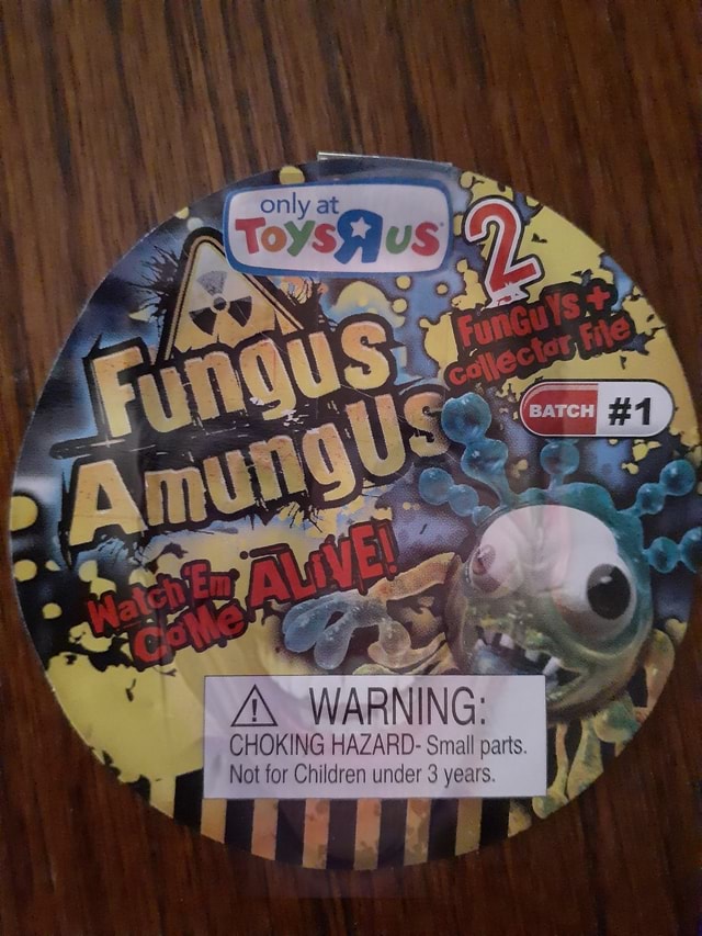 Warning Choking Hazard Small Parts Not For Children Under 3 Years Ifunny Warning Choking Hazard Small Parts Not For Children Under 3 Years Ifunny