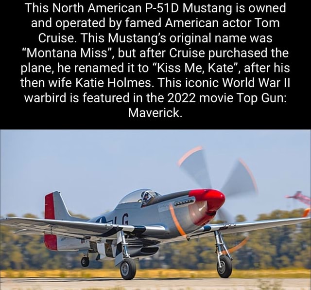 This North American P D Mustang Is Owned And Operated By Famed