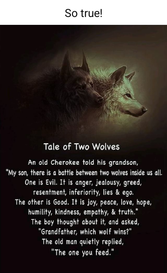 Son of a wolf When the fight is…» — создано в Шедевруме