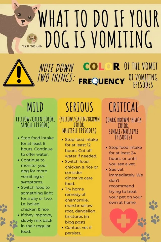 dark green dog vomit