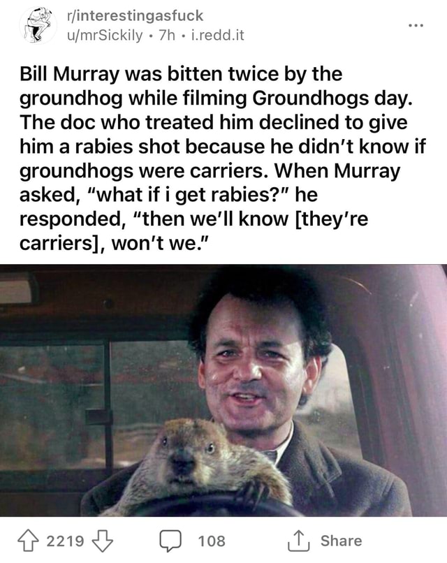 I.redd.it Bill Murray was bitten twice by the groundhog while filming ...