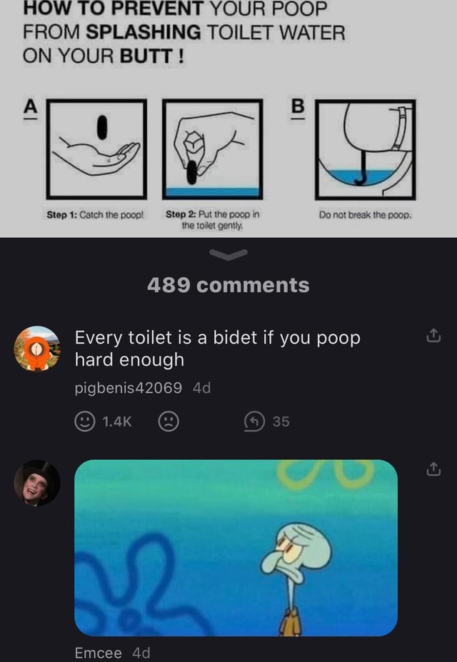 YOUR POOP FROM SPLASHING TOILET WATER ON YOUR BUTT! Step 1 Catch the