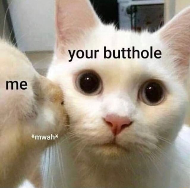 -' yourbutthole i - iFunny