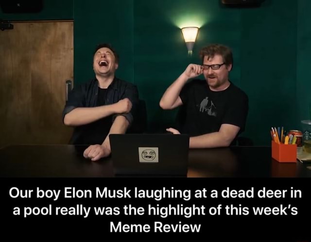 elon musk meme review