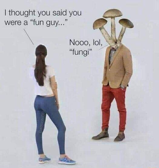 I thought you said you were a "fun guy..." Nooo, lol, "fungi" - iFunny  Brazil