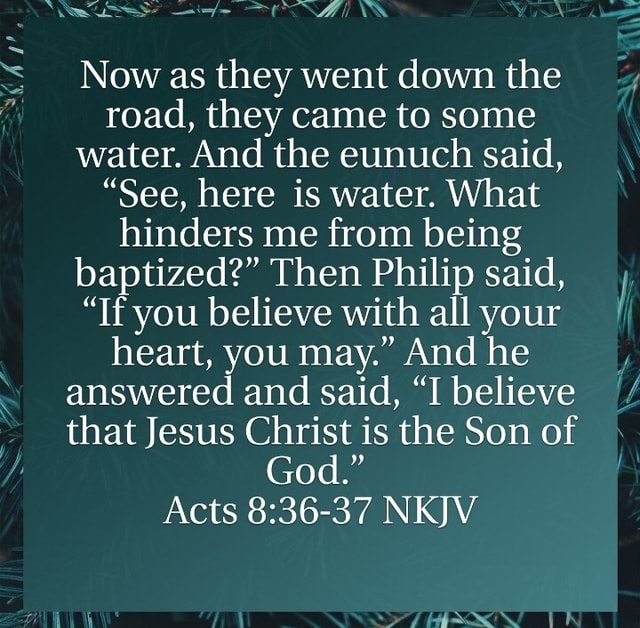 Now as they went down the road, they came to some water. And the eunuch ...