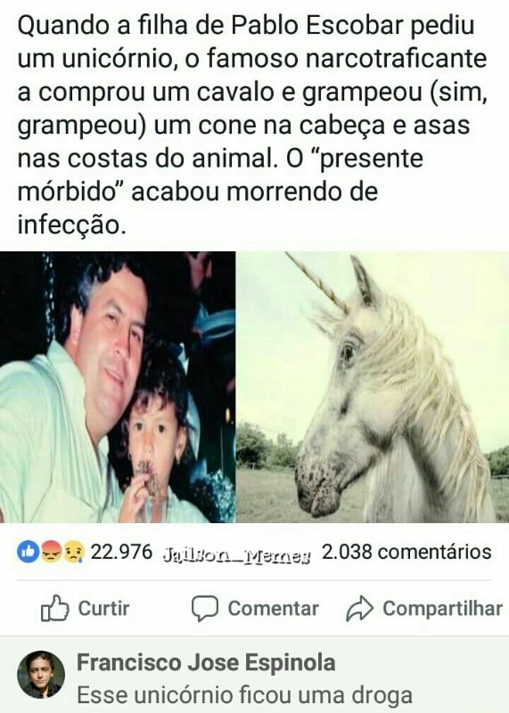 Quando A Filha De Pablo Escobar Pediu Um Unicornio O Famoso Narcotraficante A Comprou Um Cavalo E Grampeou Sim Grampeou Um Cone Na Cabeca E Asas Nas Costas Do Animal O Presente