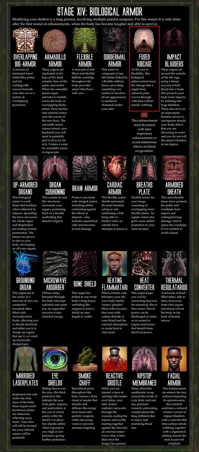 STAGE XIV: BIOLOGICAL ARMOR Modifying your skelton is a long process ...