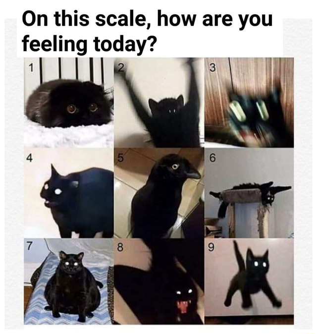 On This Scale How Are You Feeling Today