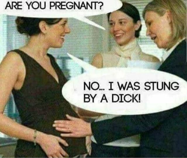 Are You Pregnant No I Was Stung By A Dick