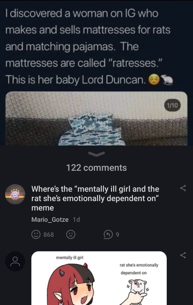 I discovered a woman on IG who makes and sells mattresses for rats and