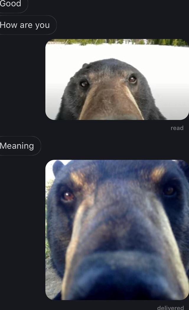 Good how are you meaning delivered ifunny