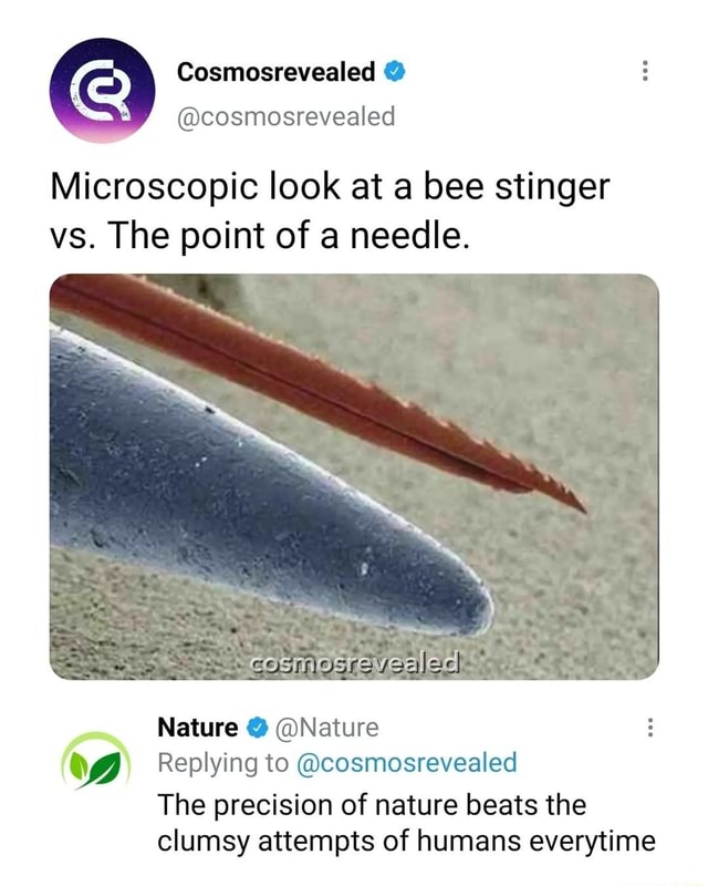 Cosmosrevealed cosmosrevealed Microscopic look at a bee stinger vs. The point of a needle