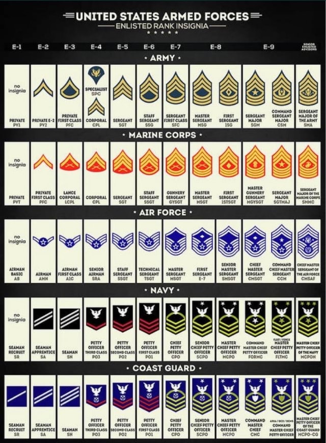 =UNITED STATES ARMED FORCES> ENLISTED RANK INSIGNIA-- ARMY PRIVATE ...