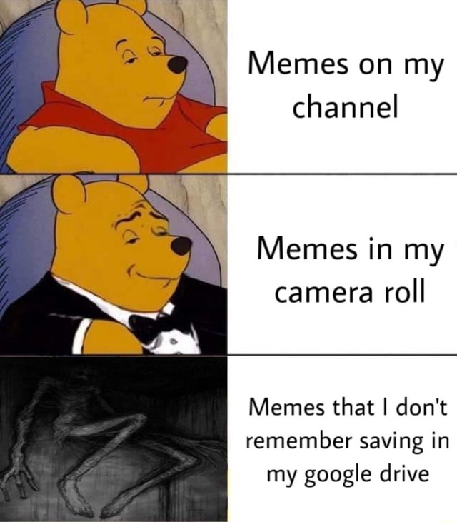 Memes on my channel Memes in my camera roll Memes that I don't remember ...
