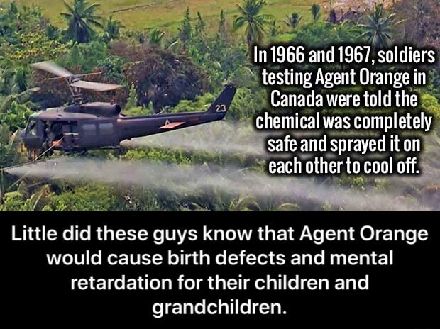 Little Did These Guys Know That Agent Orange Would Cause Birth Defects And Mental Retardation For Their Children And Grandchildren Little Did These Guys Know That Agent Orange Would Cause Birth