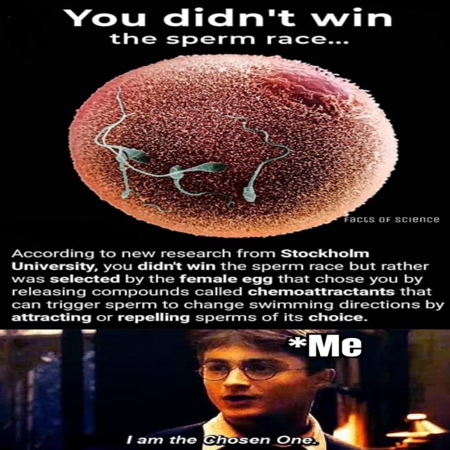 You didn't win the sperm race... According to new research from