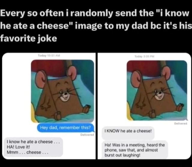 Every so often i randomly send the "i know he ate a cheese" image to my ...
