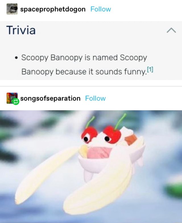 Spaceprophetdogon Follow Trivia "A Scoopy Banoopy is named Scoopy