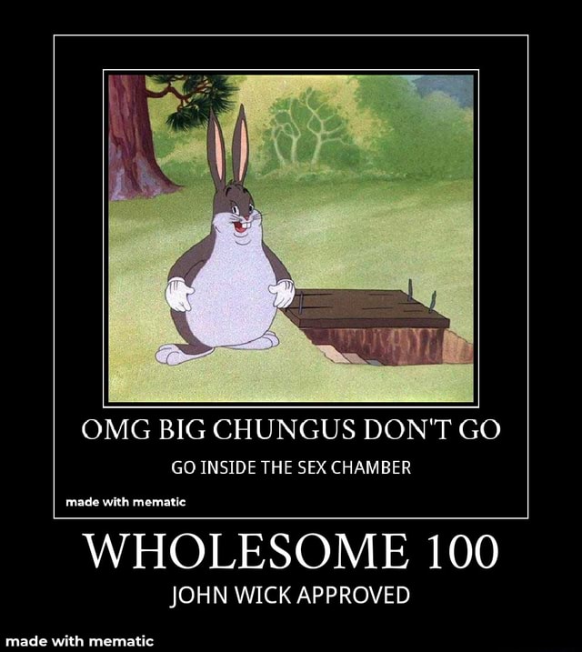 Omg Big Chungus Dont Go Go Inside The Sex Chamber Wholesome 100 John Wick Approved Ifunny 0505