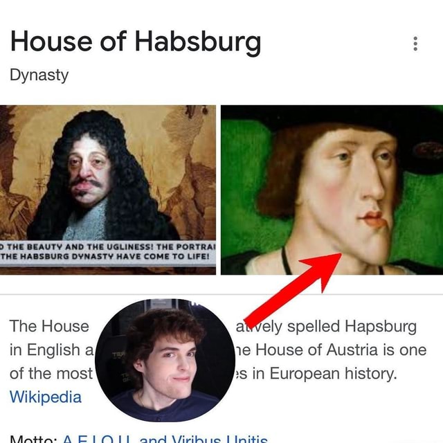 Dream with the Habsburg chin meme dankmemes memes dankmeme memes😂