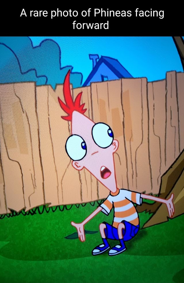 A rare photo of Phineas facing forward - iFunny