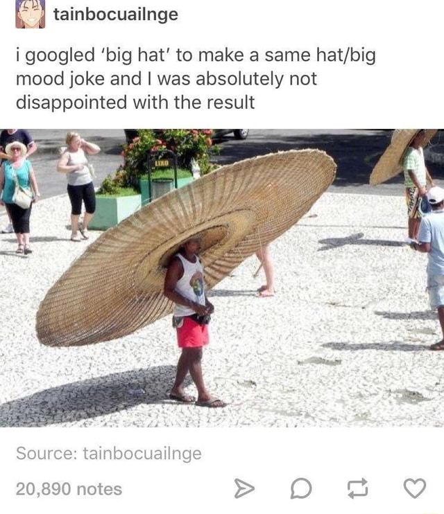 Ea} tainbocuailnge igoogled ‘big hat' to make a same hat/bíg mood joke