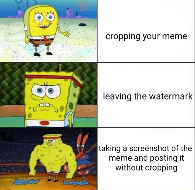 Cropping Your Meme Leaving The Watermark Taking A Screenshot Of The Meme And Posting It Without