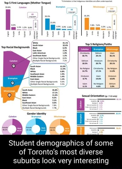 'Top 5 First Languages (Mother Tongue) Top Rail Backgrounds Student ...